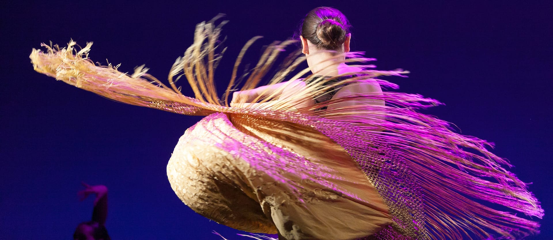 Flamenco Adultos - avanzado