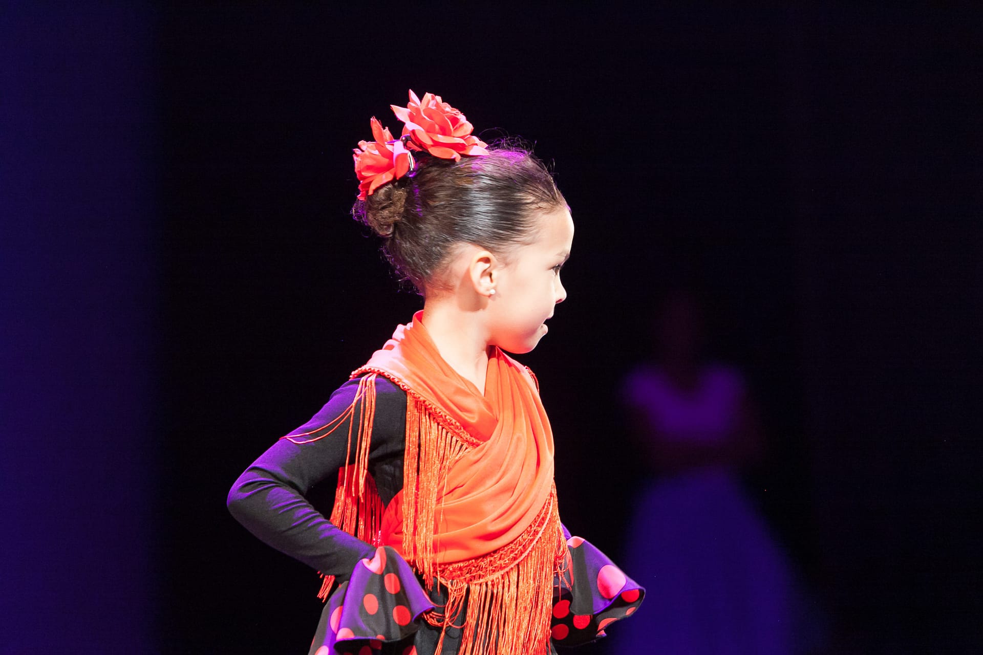 Flamenco Iniciación