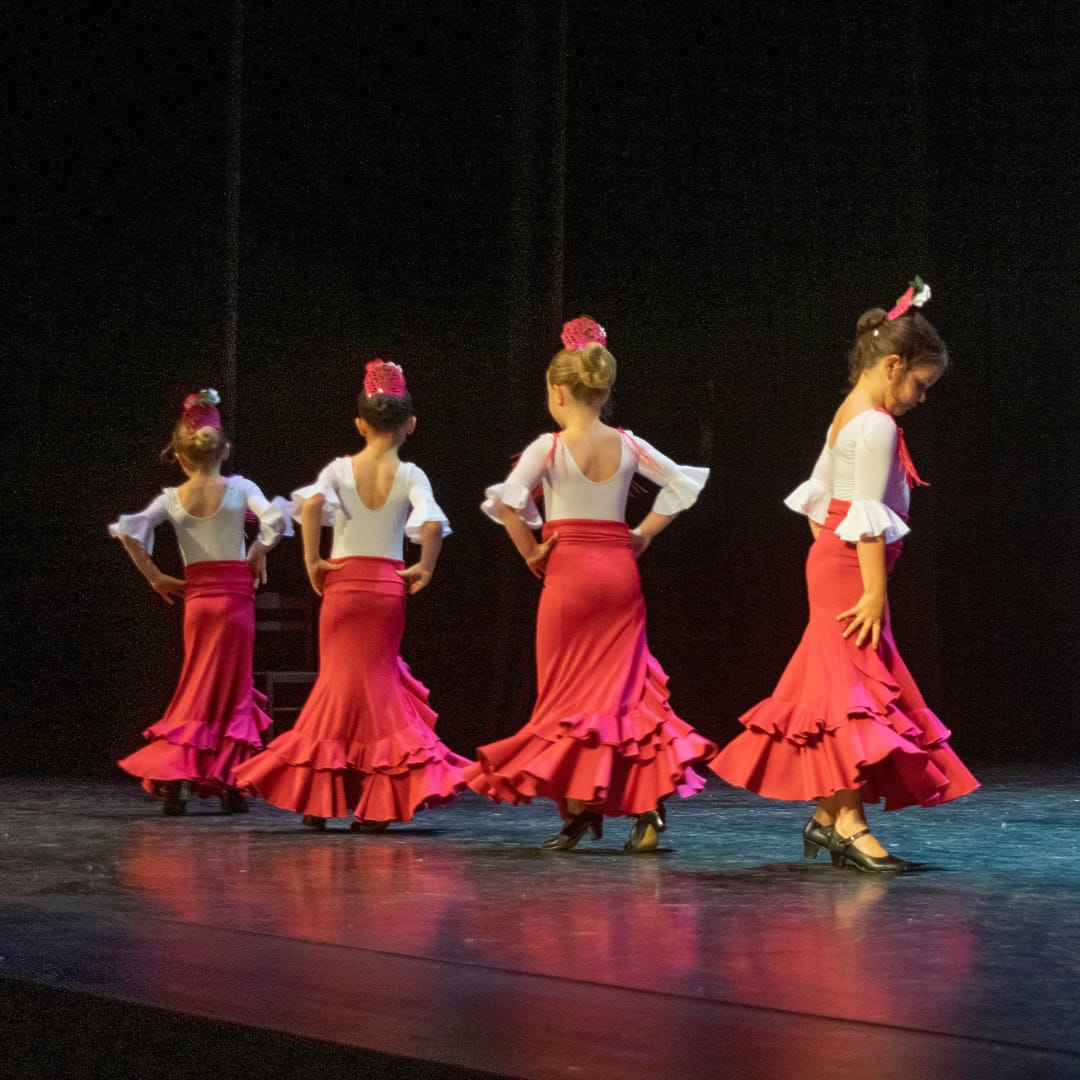 Flamenco Iniciación